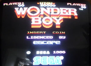 WONDER BOY PCB NON JAMMA ARCADE GAME - Imagen 1 de 23