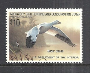U.S. SCOTT RW55 MNH VF - 1988 $10 MULTI-COLOR FEDERAL DUCK STAMP CV $17.50 - Picture 1 of 2
