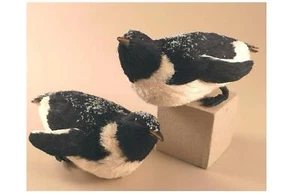 PINGUINO NATALE GRANDE PVC con NEVE Cm.28x15x12 116837 - Picture 1 of 1