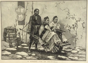 Noticias ilustradas de Londres 1876 - Shanghai - cortejo indio americano - Arca de Noé - Imagen 1 de 10