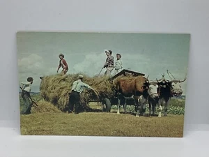 Postcard Hay Making Bulls Cart Nova Scotia Canada L374 - Picture 1 of 2