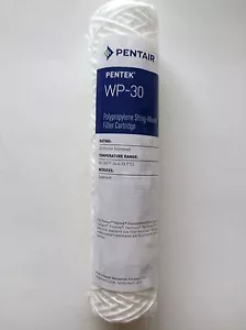 PENTEK 30 MICRON 10"x2" SEDIMENT FILTER WP-30 155072-43 4 PACK - Picture 1 of 3