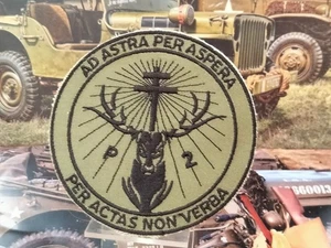 2° Escadron NRBC du 2° Régiment de Dragons - 100 mm 📌4a. - Imagen 1 de 1