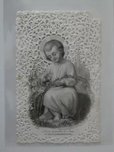 image pieuse canivet dentelle dans le jardin de jesus bouasse 1059 - Imagen 1 de 1