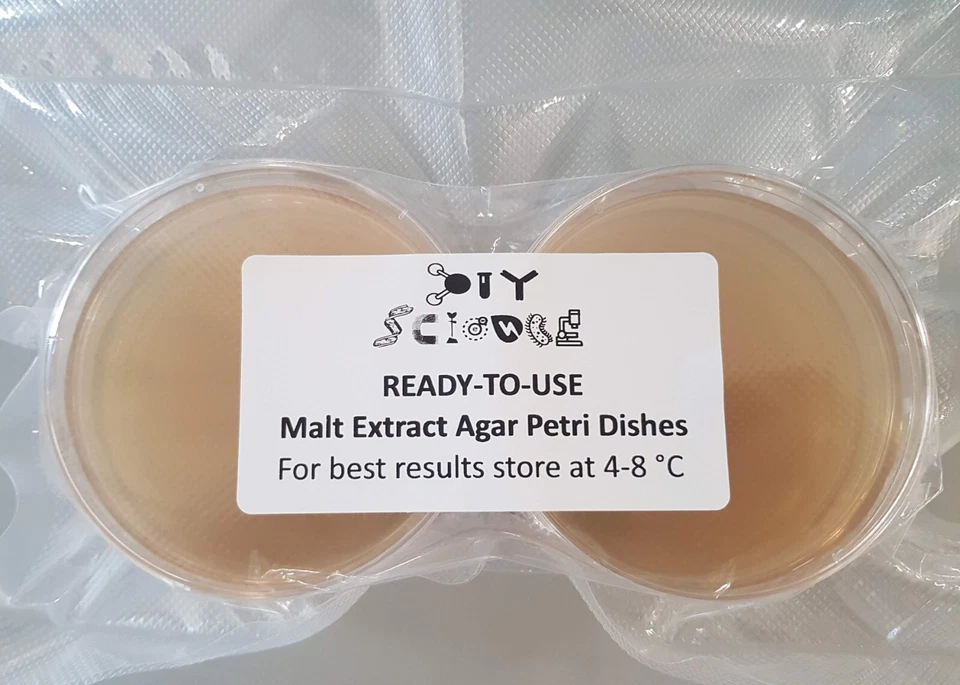 DIYSCIENCE 12 x Malt Extract Agar (MEA) Petri Dishes (vacuum sealed & ready to use)