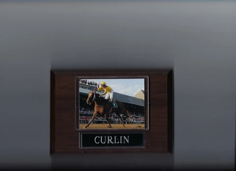 CURLIN PLAQUE HORSE RACING TURF Cover