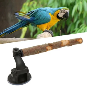 (20cm / 7.9in)Wood Perch Prevent Slip Interactive Bird Window Perch - Picture 1 of 12