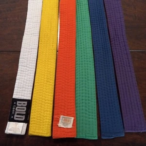 Lot of 6 Taekwondo Martial Arts Judo MMA Karate Belts Various Color & Rank - Picture 1 of 3