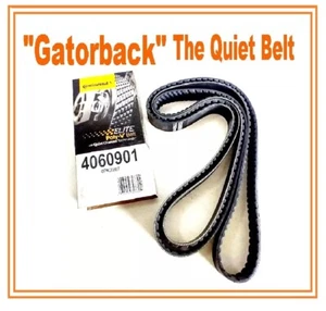 NEW Serpentine Belt Poly-V The Quiet Belt Gatorback CONTINENTAL ELITE 4060901 - Foto 1 di 6