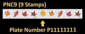 US 5971-5975 5975a Vibrant Leaves postcard rate PNC9 MNH 2025 - Picture 1 of 1
