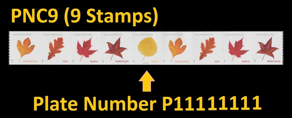 US 5971-5975 5975a Vibrant Leaves postcard rate PNC9 MNH 2025 - Image 1 of 1