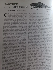 Panther Spearing Raubkatze Jagd selten antik Artikel 1910 Captain G A Hope - Bild 1 von 3