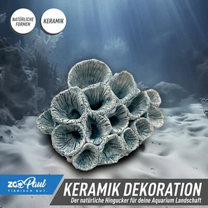ZooPaul Keramik Deko Dekoration Aquarium Terrarium Korallen Riff Tierfossilie - Bild 1 von 7