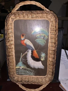 Vintage. MEXIKANISCHER 20,5”x 12”x 2” KORB MIT BUNTEM GEFIEDERTEM VOGEL UNTER GLAS - Bild 1 von 8