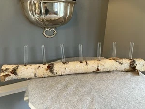 Creative Co-op 7 Glass Tube Vases In Birchwood Log Base NWT/box - Picture 1 of 18