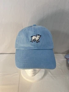 Southern Trend Pig Hat Cap Adjustable Light Blue Unisex Mens Ladies NWOT - Picture 1 of 3