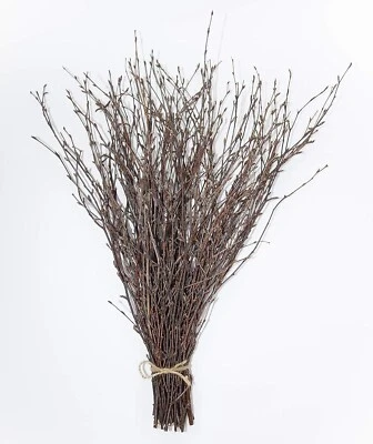 Birch Twigs - Image 1 of 3