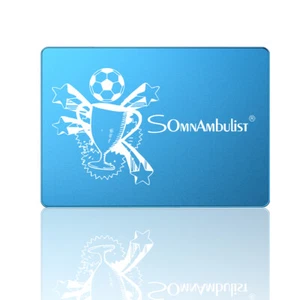 SSD Festplatte Trophy 120GB 2,5 Zoll SATA III 500mb/s Solid State Drive OVP - Bild 1 von 10