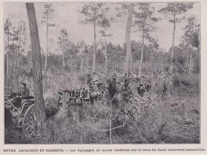 1905 -- ENTRE ARCACHON ET BIARRITZ EQUIPAGE DE MULES LANDAISES 3I954 - Picture 1 of 1