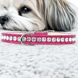 Crystal Croc Dog Collar Fits 9–11" | Bling Designer Pet Accessory | Made in USA - Picture 1 of 1