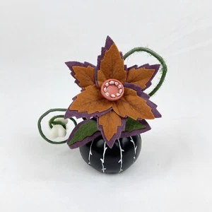 CREEPY SUCCULENT in Black PUMPKIN~Hyde and Eek! Target Halloween Plant New - Picture 1 of 3