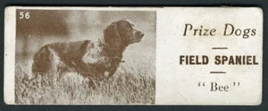 FIELD SPANIEL 1924 RARE SHARPS TOFFEE PRIZE DOGS SERIES DOG TRADE CARD #56 - Picture 1 of 2