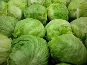 Lettuce Organic Iceberg 700 Seeds - Heirloom --------NO WA - Picture 1 of 1