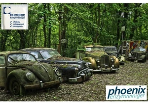 Geruchsentferner Universalreiniger KFZ Phoenix-Enzymreiniger - Bild 1 von 77