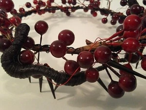 Halloween crown tiara black thorn & red berry goth headdress costume accessory - Picture 1 of 5