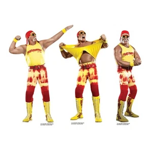 Hulk Hogan WWE Table Haut Carton Découpes Fête Paquet De 3 Bureau Kit 30cm - Photo 1/3