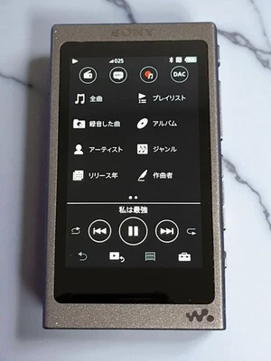 Sony Walkman NW-A45 16GB BLACK Bluetooth Hi-Res Digital Media Player Used - Image 1 of 4