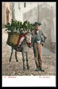 Spain Granada Vintage postcard Un Aguador Water carrier with donkey - Picture 1 of 2
