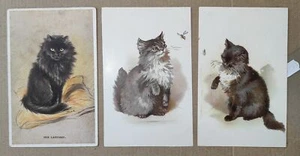 GATO GATOS GATO GATO GATO GATO CHAT-LOTE 3 POSTALES-C67-163 - Imagen 1 de 1