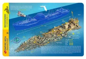 Empire Mica Wreck Florida Panhandle Reef Smart Waterproof Dive Card - Bild 1 von 2