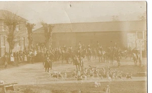 VINTAGE PHOTOGRAPH postcard: HUNTING HORSES & HOUNDS West Dean 1906 postmark - Picture 1 of 1