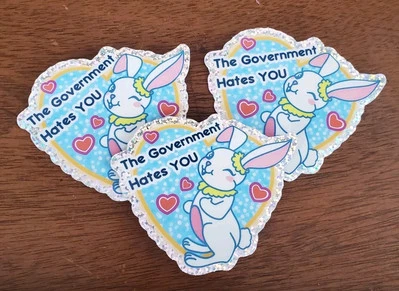 SHADY BRADY ENTERPRISES THE GOVERNMENT HATES YOU GLITTER STICKERS (3) USAID NATO CIA FBI TSA NSA IRS EPA