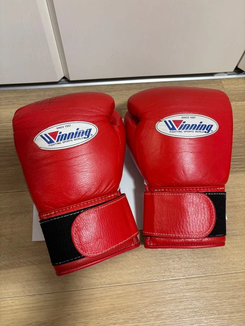 Winning 8 oz. Weight Boxing Gloves for sale | eBay