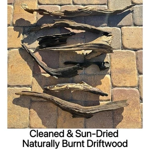Naturgebranntes Treibholz — handgesammeltes Bachholz mit verkohlter Textur, Unikat - Bild 1 von 18