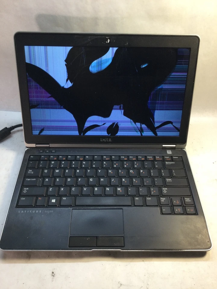 Laptop Dell Latitude E6230 13" Intel Core i3 3ª generación - ARRANQUES/PANTALLA DEFECTUOSA - MZ Foto 1 de 2