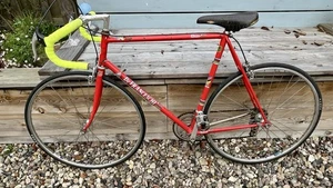 Vintage Steel Bike De Franceschi Selten - Bild 1 von 22