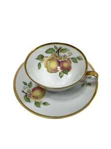 Vtg Hutschenreuther Selb Tea Cup & Saucer LHS Bavaria Germany Pasco Peach - Picture 1 of 12
