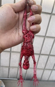 1/6/12 Esqueleto Carne de Sangre Medio Cuerpo/Cuerpo entero Escena Esqueleto Modelo - Imagen 1 de 10