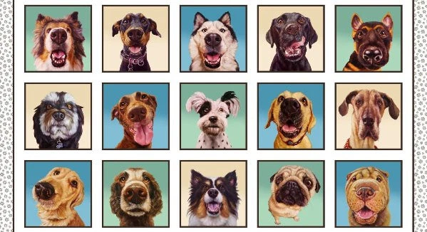 Follow Your Nose Funny Dog Selfies Dogs 24x44" Cotton Fabric Panel - Image 1 of 1