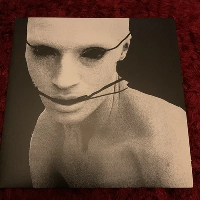 12" LP & Picture Disc Poppy I Disagree (More) 2020 Sumerian Deluxe Edition - Image 1 of 4