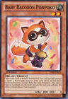 Baby Raccoon Ponpoko - SHSP-EN014 - Common - 1st Edition NM YuGiOh!  Shadow Spec