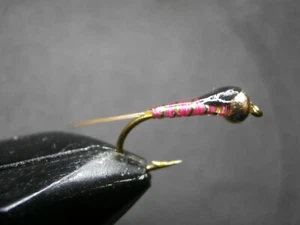 3 PERDIGONES ROSA Y VERDE CABEZA TUNGSTENO PARA PESCA A MOSCA-(PER-239) - Imagen 1 de 1