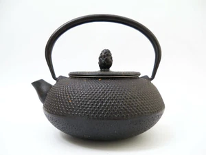 Joyce Chen Asian Collection Cast Iron Tetsubin Kettle Teapot - Picture 1 of 11