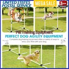 Outdoor Dog Pet Training Equipment Backyard Starter Course Hoop Pole Set US