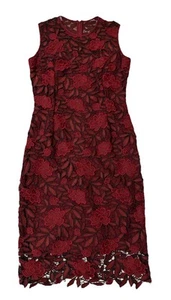 White House Black Market Spitzenkleid Größe 4 neu mit Etikett - Bild 1 von 6