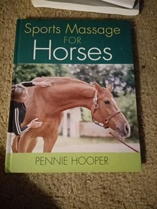 Sports Massage For Horses - Bild 1 von 2